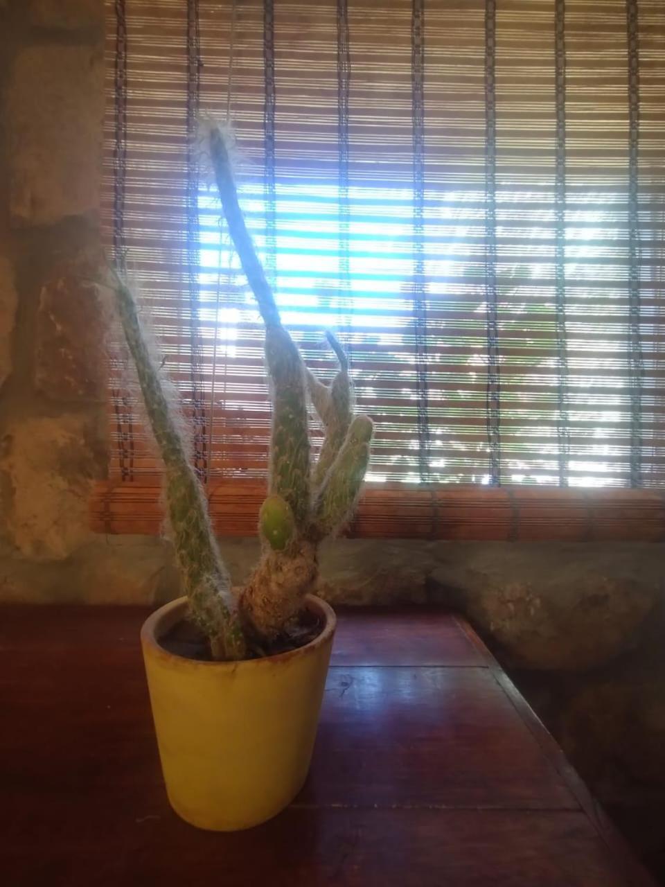 Hotel La Casita Tilcara Zewnętrze zdjęcie