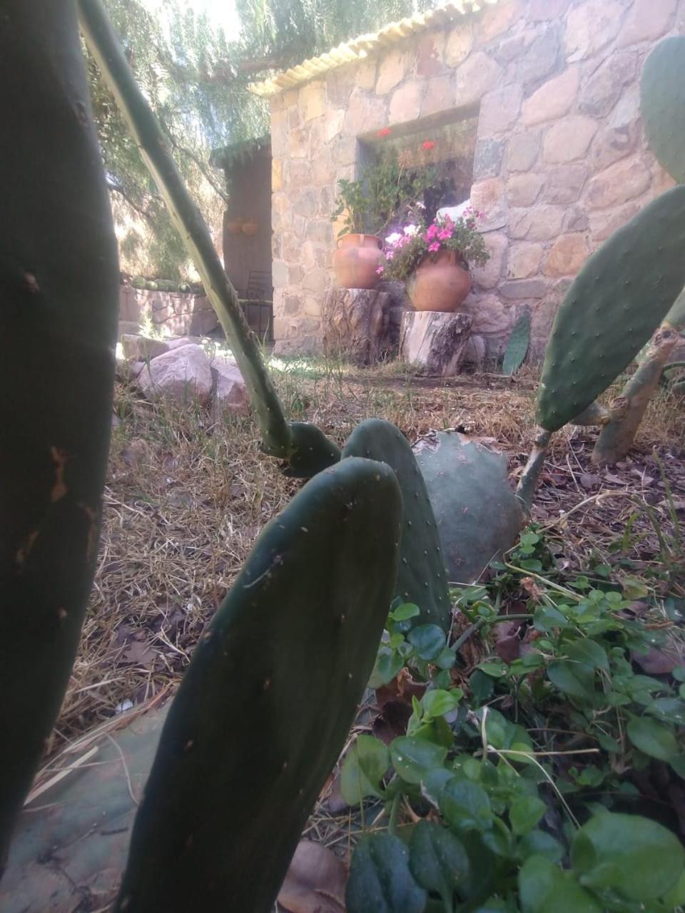 Hotel La Casita Tilcara Zewnętrze zdjęcie